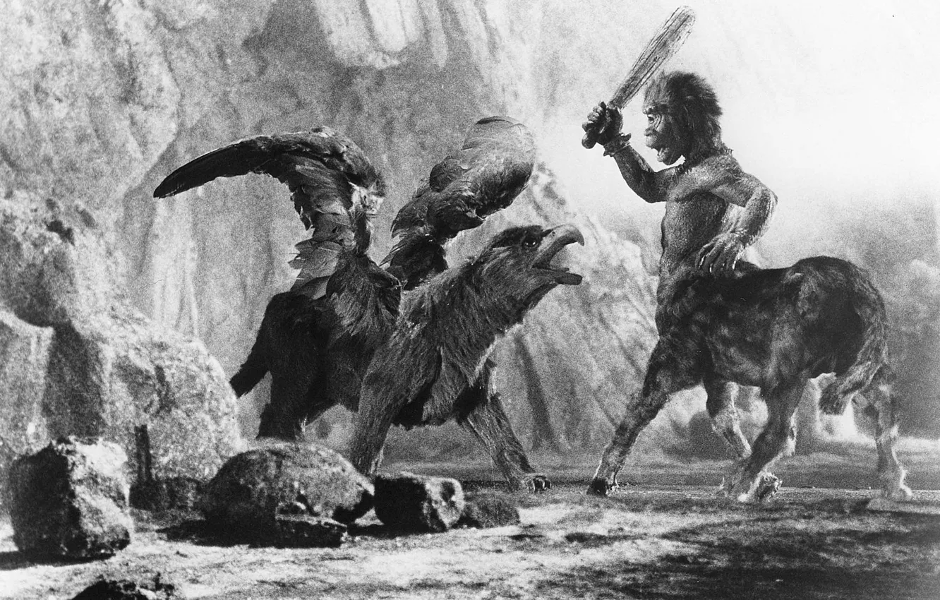 Photo wallpaper Wings, Battle, Art, 1973, Black and white, Columbia Pictures, Centaur, Griffin