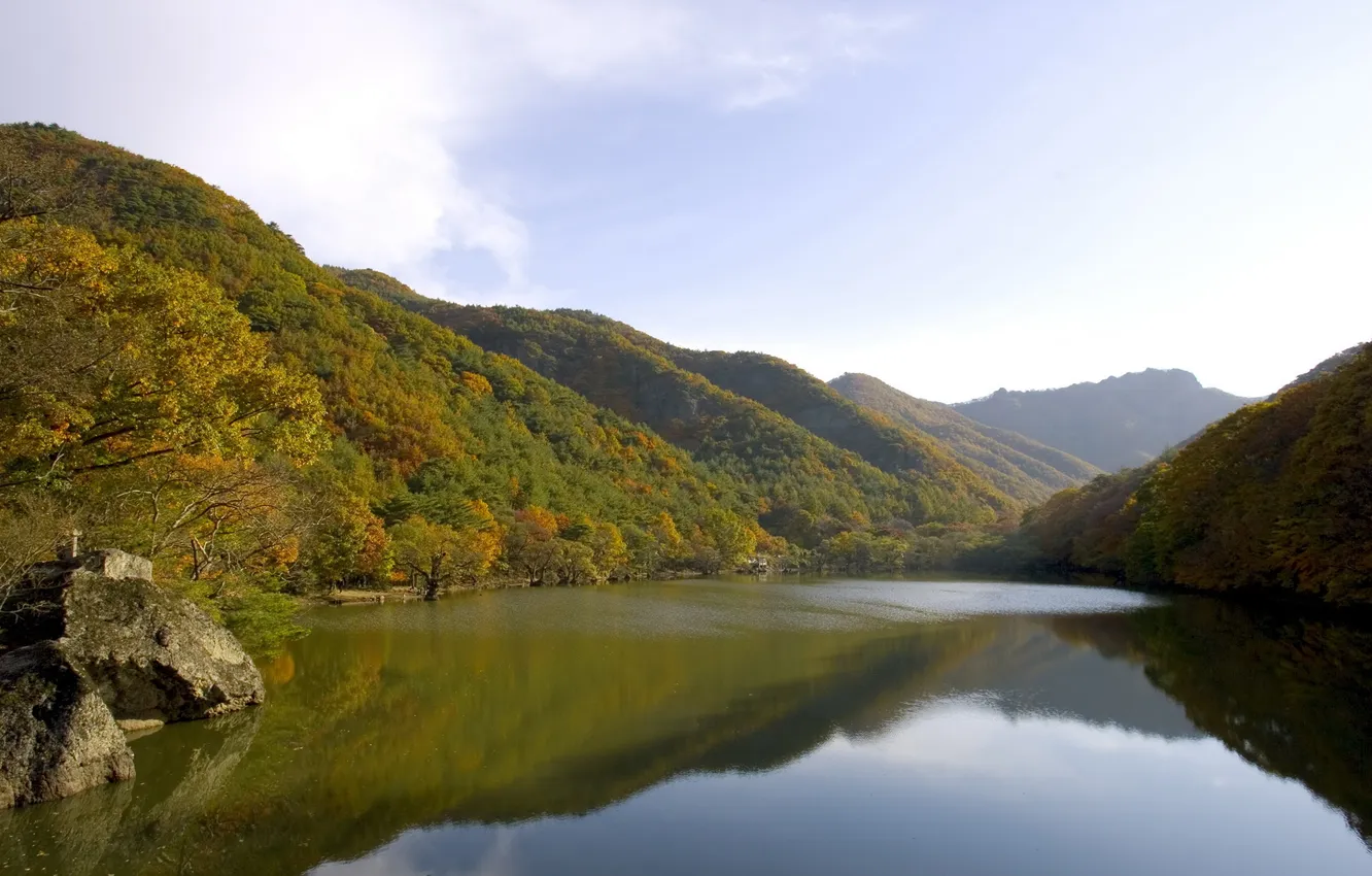 Photo wallpaper greens, forest, the sky, water, clouds, trees, landscape, mountains