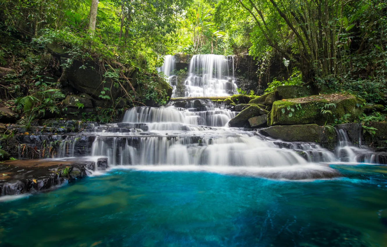 Photo wallpaper forest, river, waterfall, forest, cascade, river, landscape, jungle