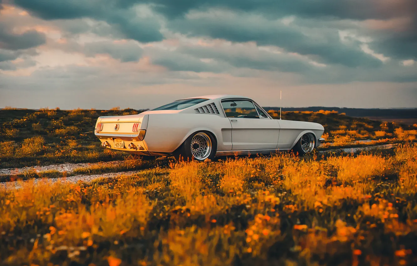 Photo wallpaper Mustang, Ford, Shelby, Car, Sunset, GT350