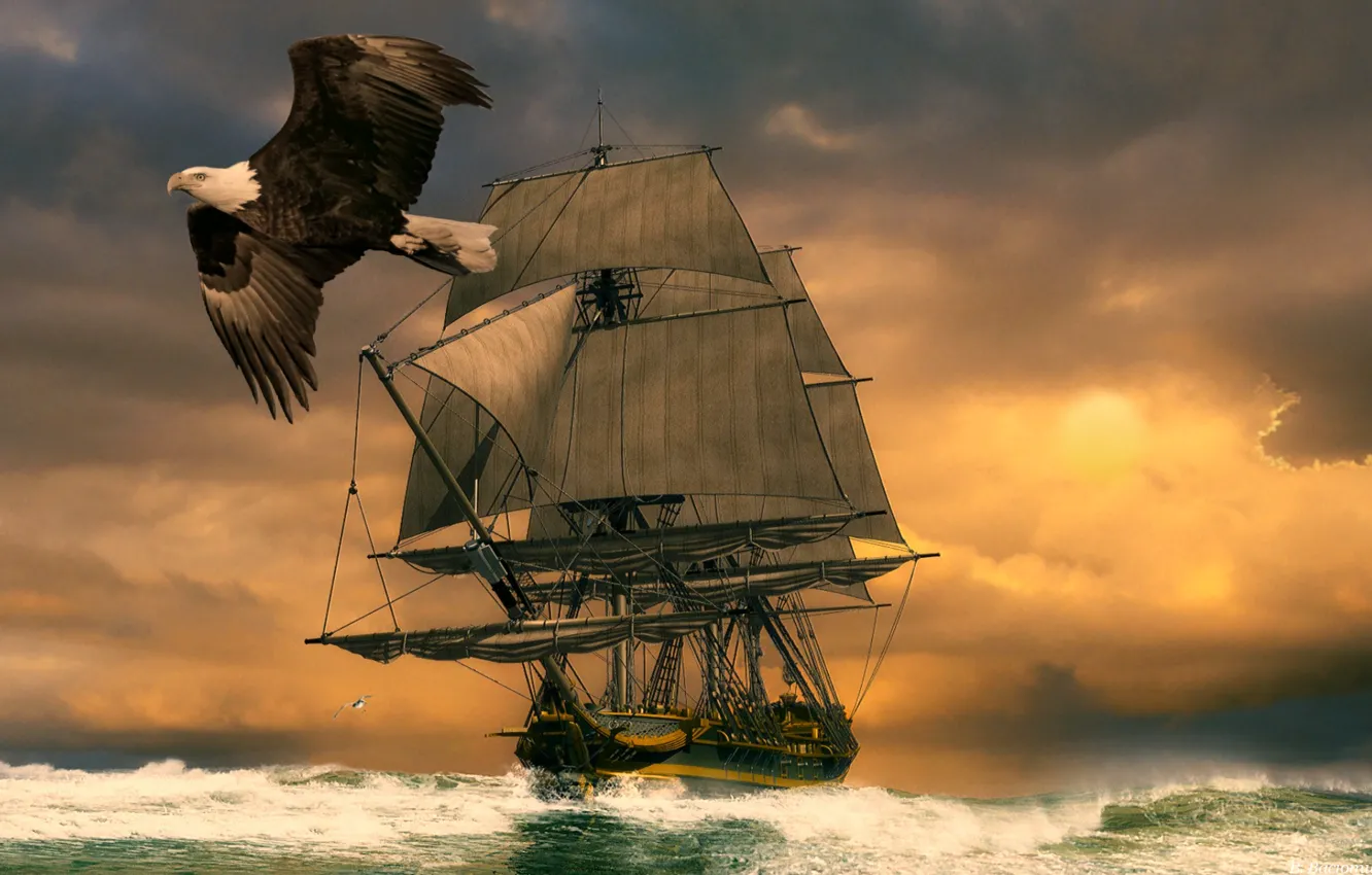 Photo wallpaper sea, the sky, bird, sailboat