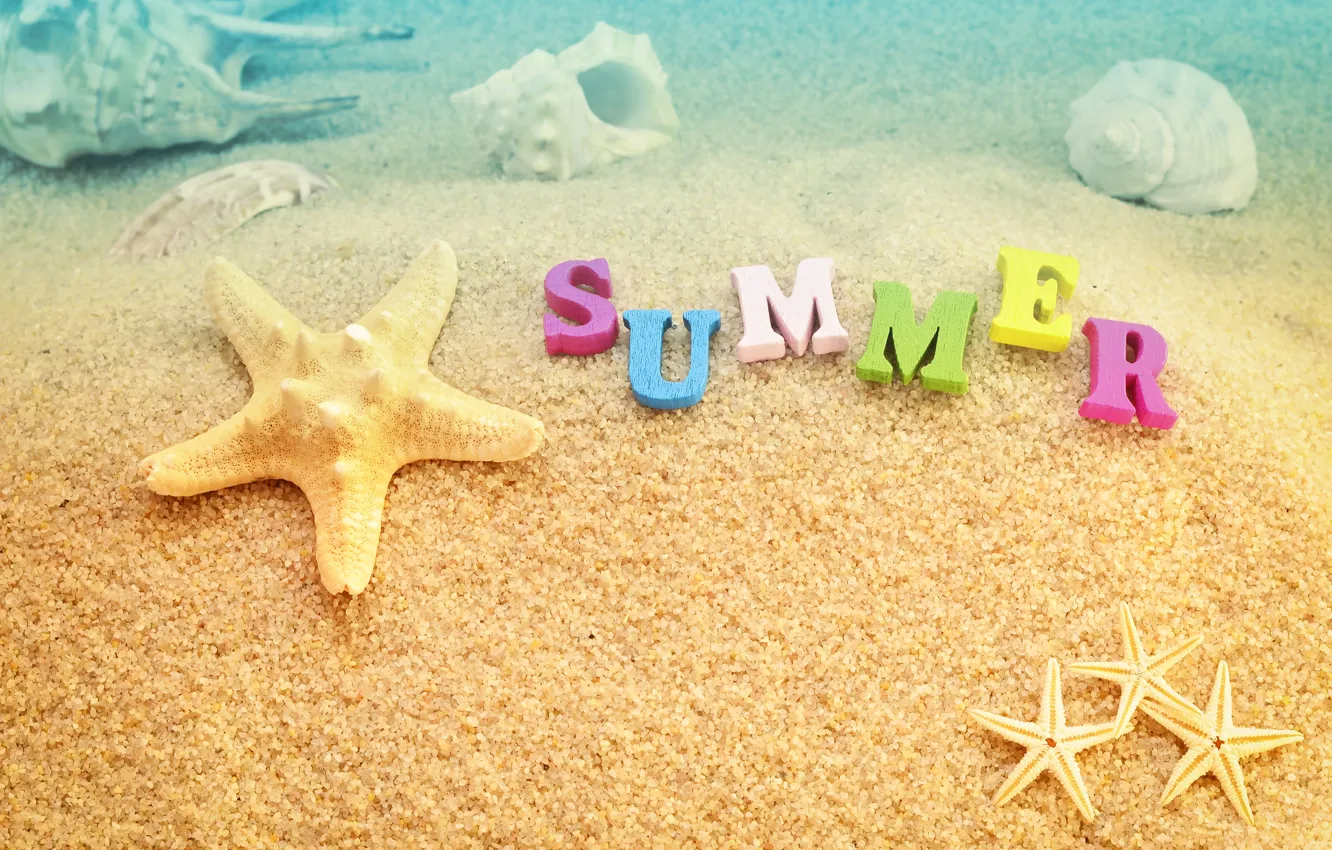 Photo wallpaper sand, sea, beach, summer, stay, shell, summer, beach