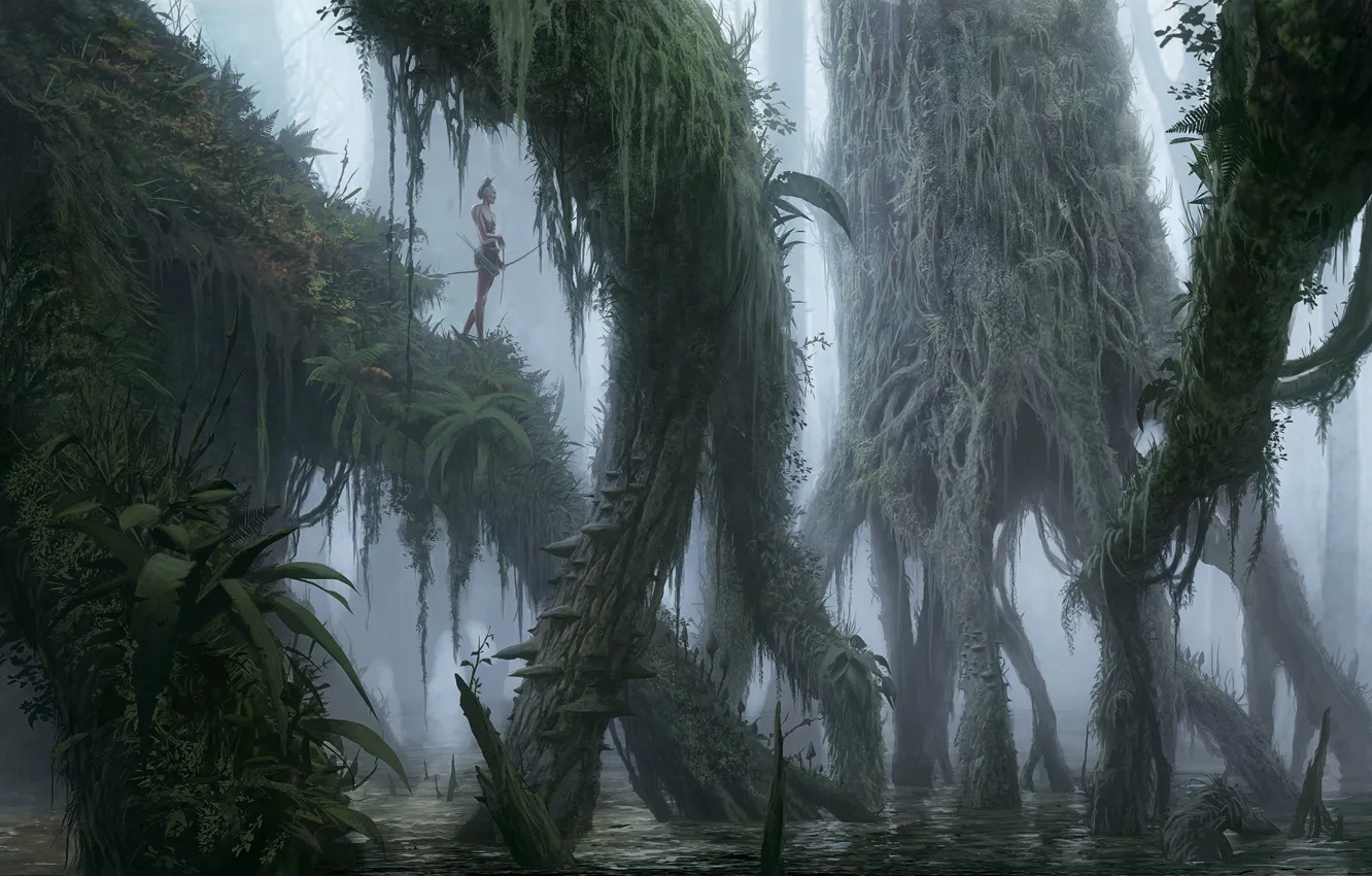 Photo wallpaper forest, trees, fog, hunter, Swamp