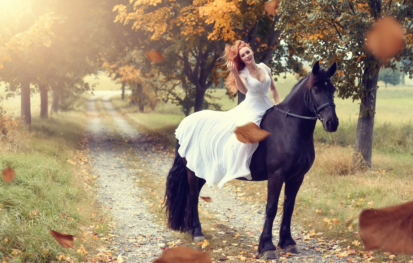 Photo wallpaper road, autumn, leaves, girl, trees, mood, horse, horse