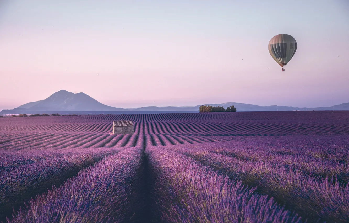 Photo wallpaper the sky, flowers, balloon, lavender, lavender field, balloon