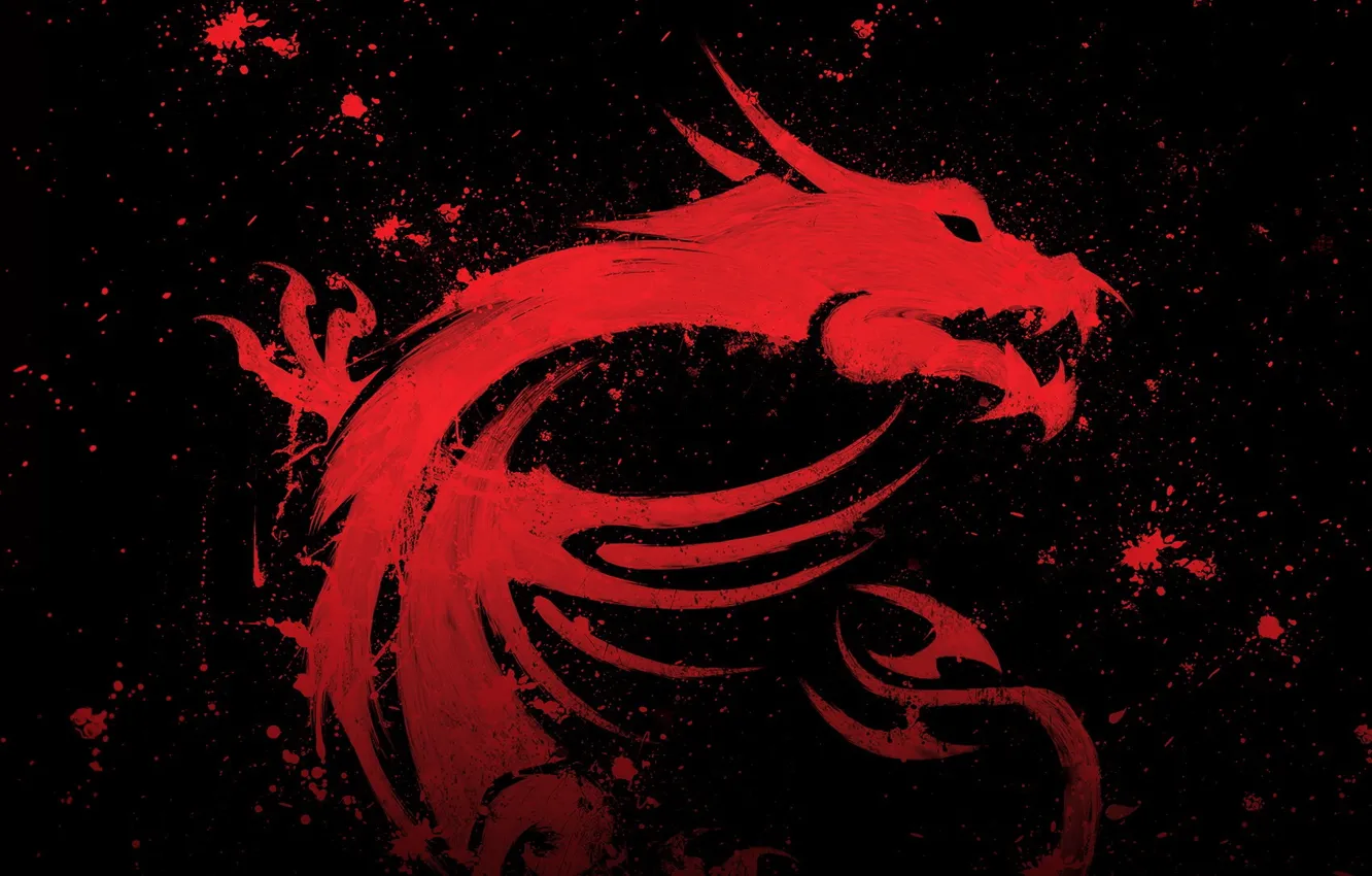 Photo wallpaper dragon, MSI, micro star international