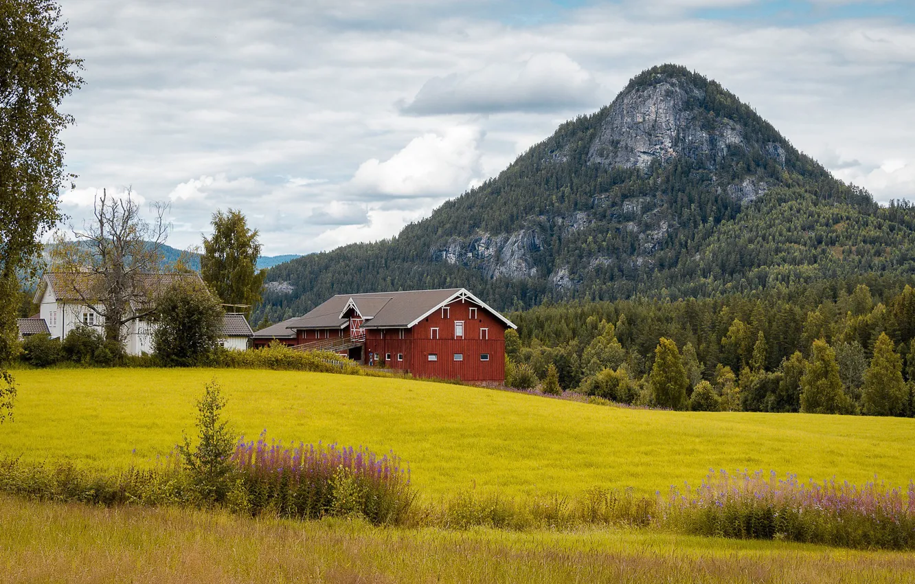 Photo wallpaper mountain, Norway, farm, Norway