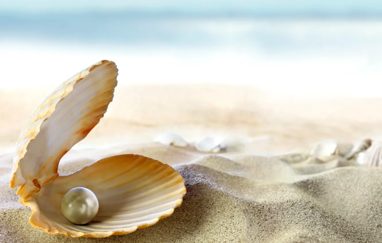 Photo wallpaper sand, sea, beach, the sun, tropics, the ocean, shell, beach