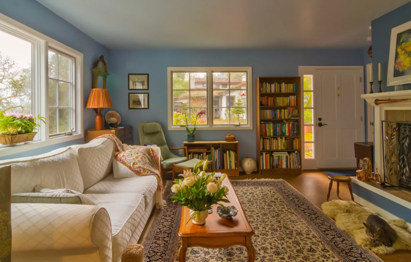 Photo wallpaper design, interior, fireplace, library, living room, Spanish Style, cottage New-Avenue, Spring S cottage