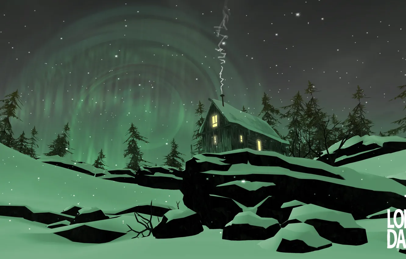 Photo wallpaper look, face, meerkats, the long dark