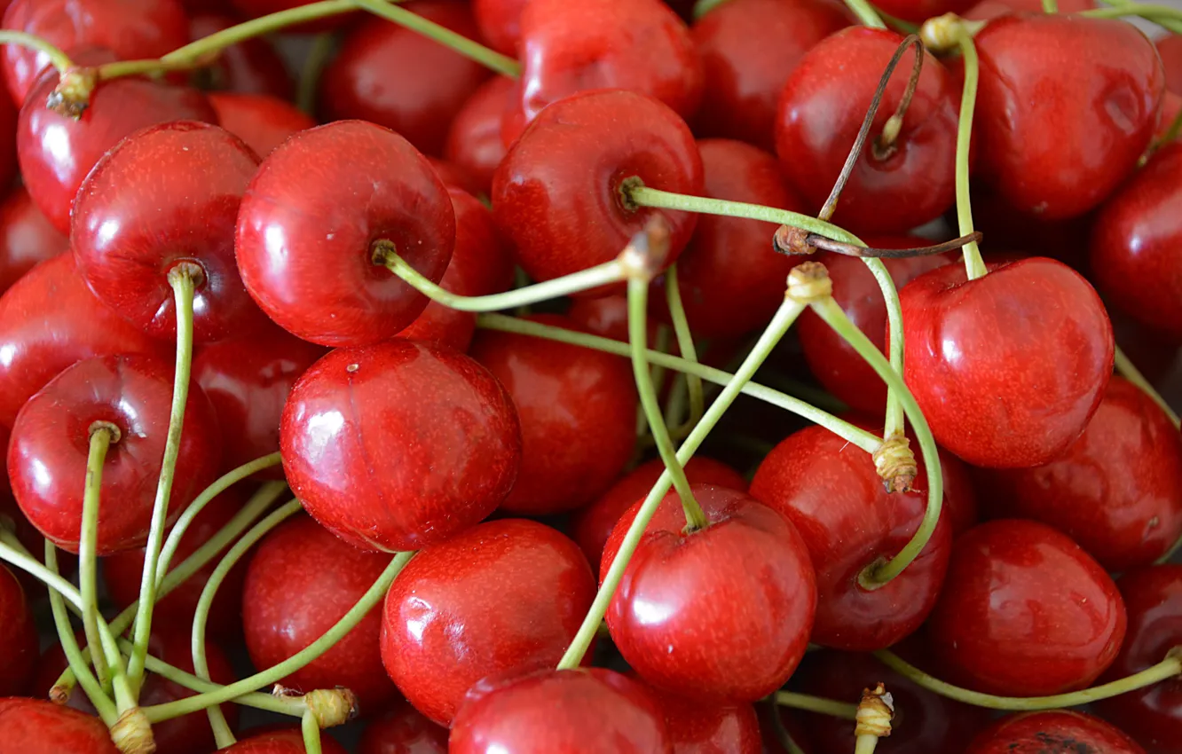 Photo wallpaper macro, red, cherry, berries, a lot, cherry, bokeh, petioles