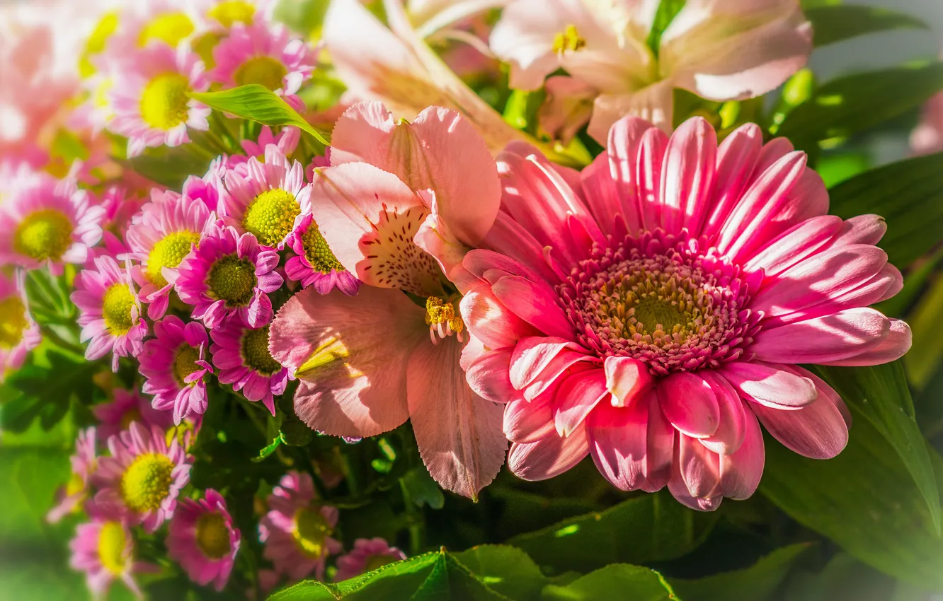 Photo wallpaper leaves, bouquet, petals