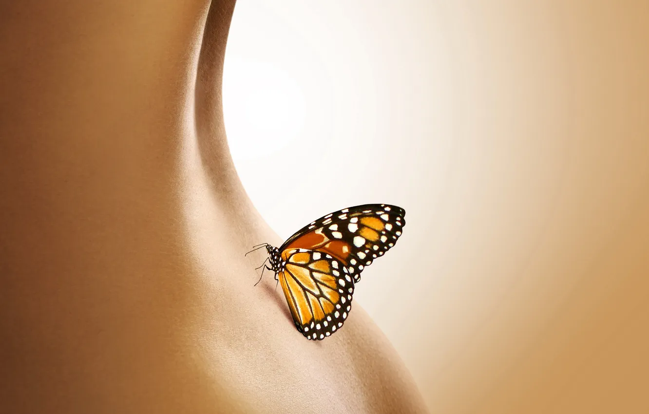 Photo wallpaper ass, girl, macro, background, butterfly, back