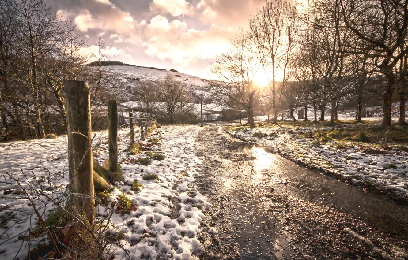 Photo wallpaper winter, road, the fence