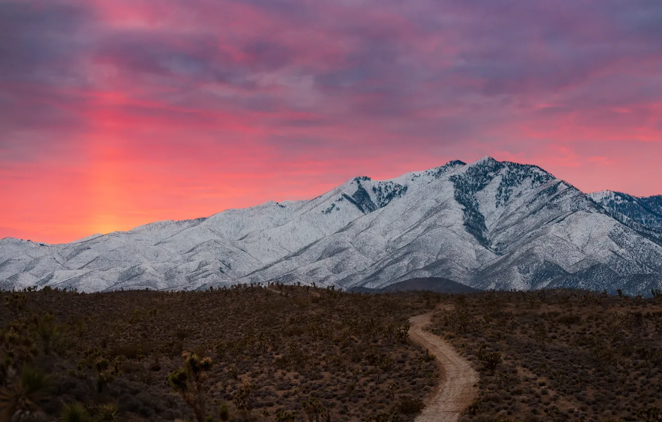 Photo wallpaper road, field, the sky, clouds, snow, sunset, mountains, vegetation