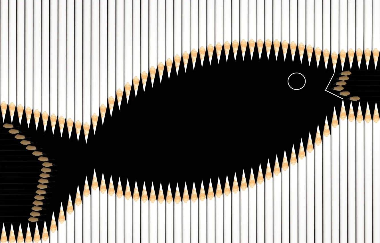 Photo wallpaper fish, pencils, art
