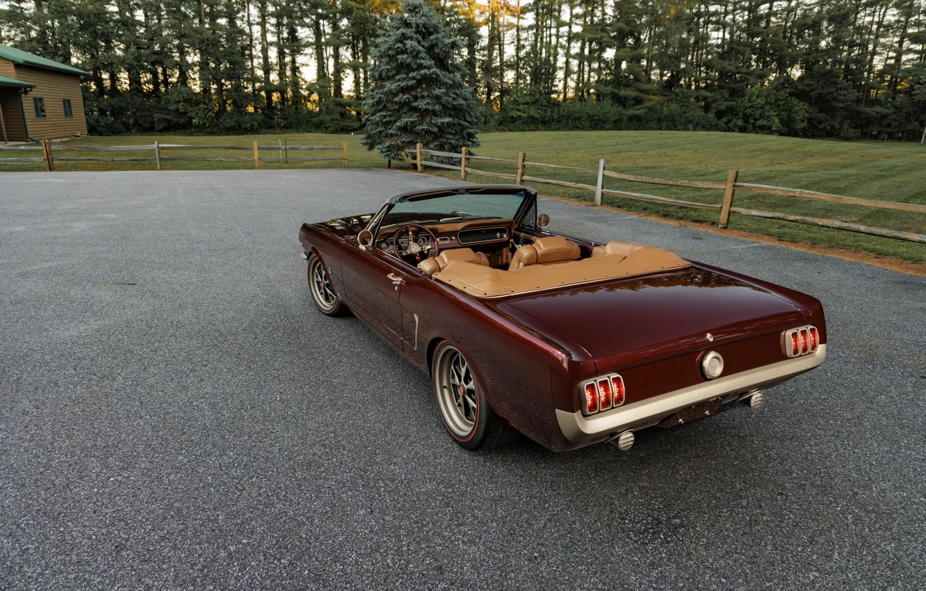 Photo wallpaper Mustang, Ford, rear view, Ringbrothers, 1965 Ford Mustang Convertible, Ford Mustang Uncaged