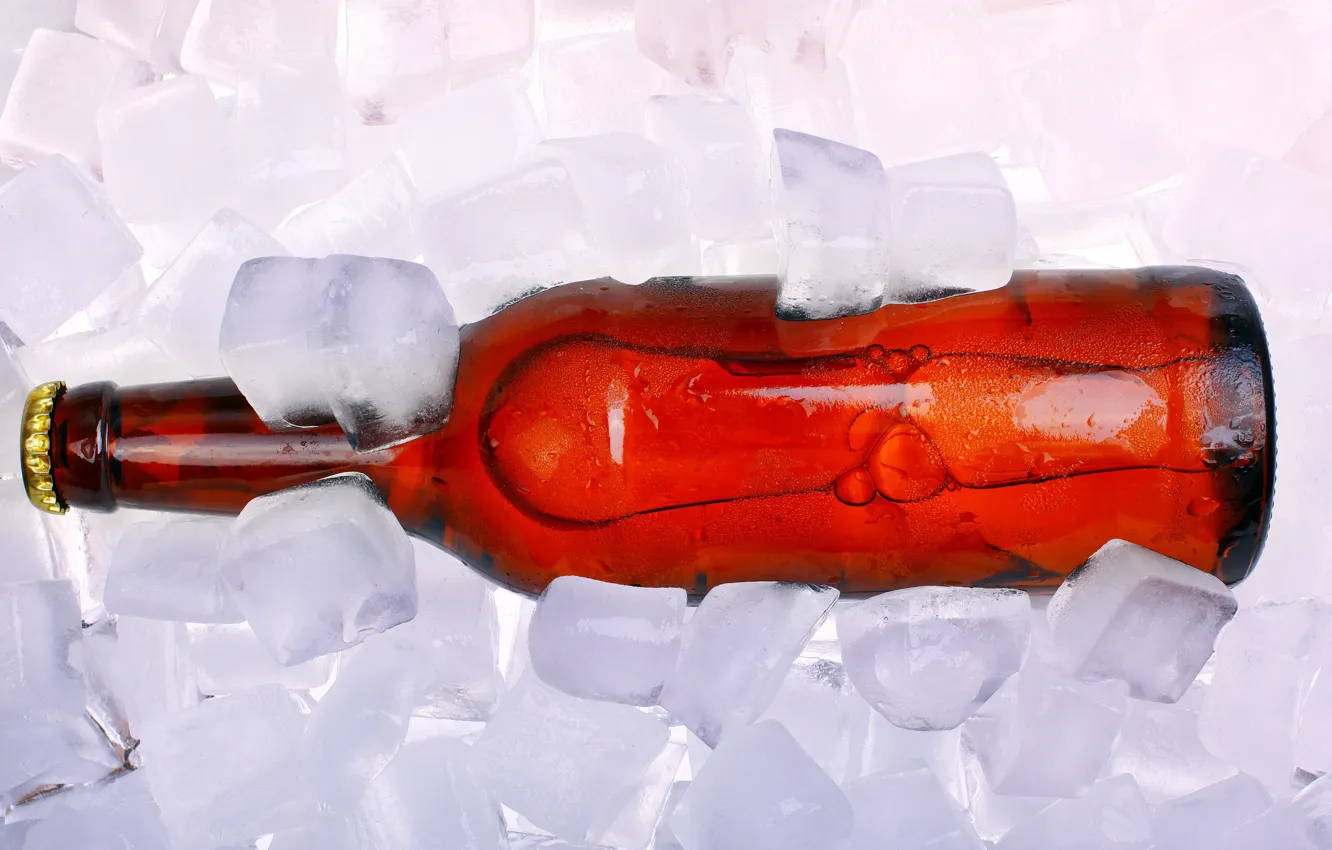 Photo wallpaper bottle, beer, ice cubes