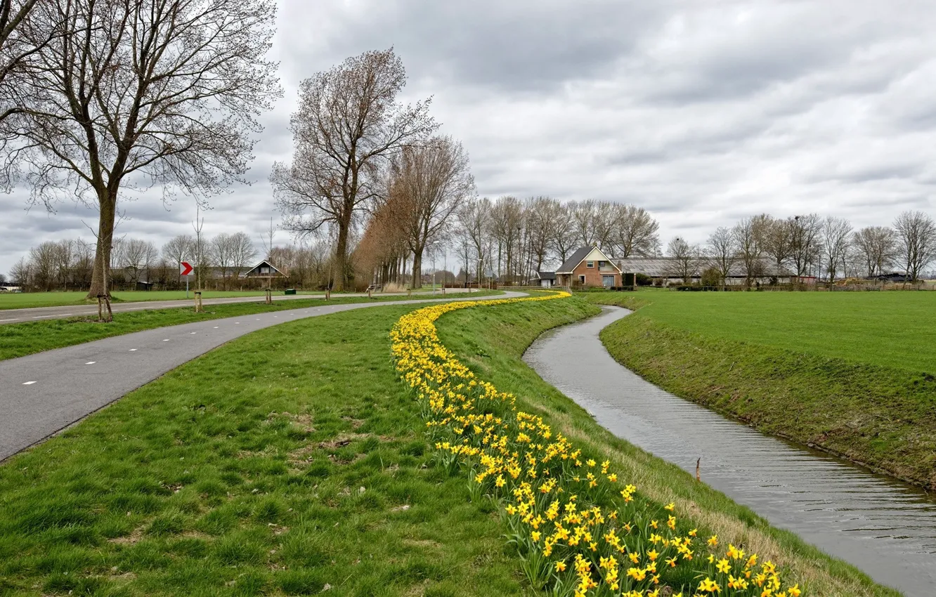 Photo wallpaper city, nature, Town