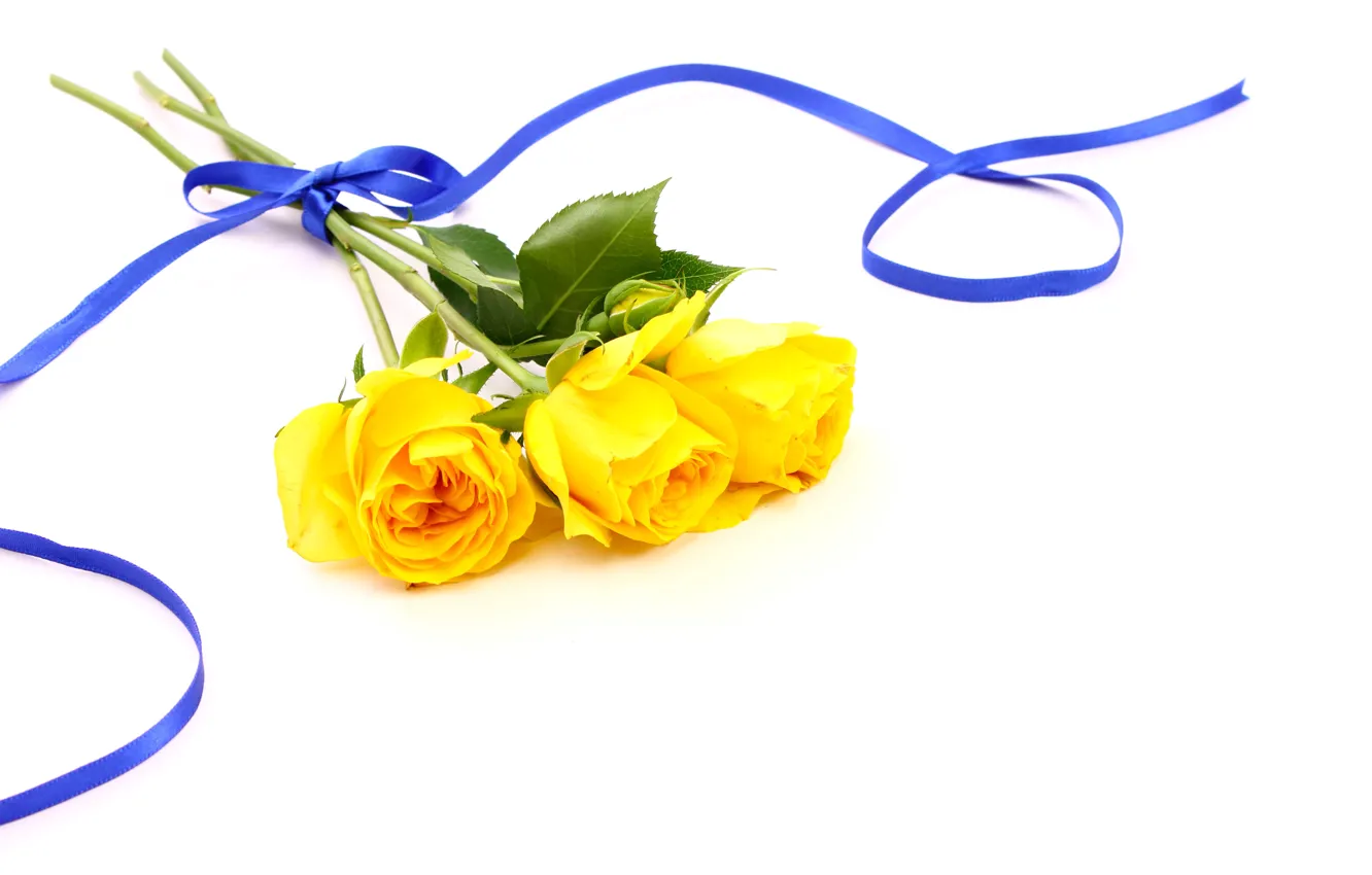 Photo wallpaper background, bouquet, tape, yellow roses
