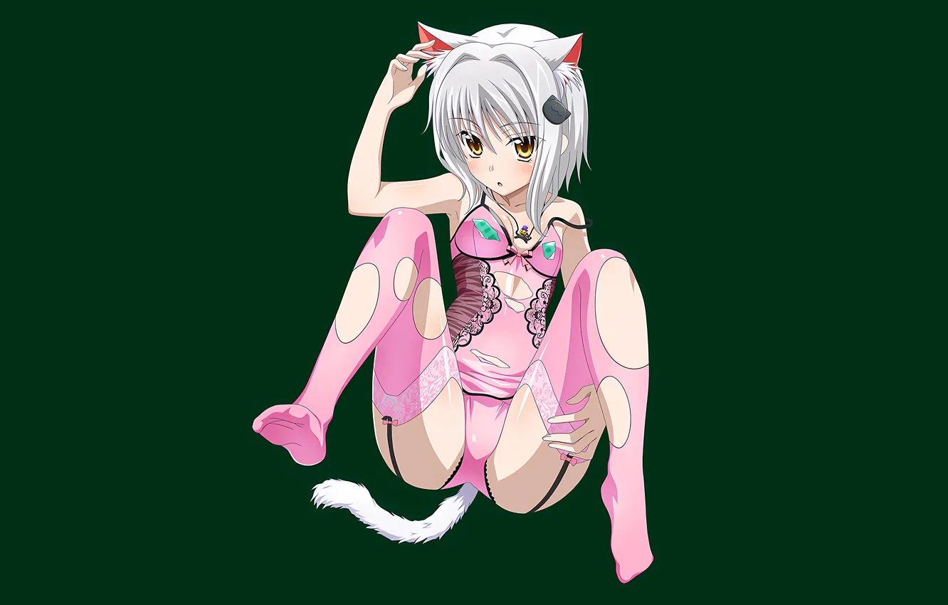 Photo wallpaper girl, sexy, ass, cleavage, thighhighs, legs, boobs, anime