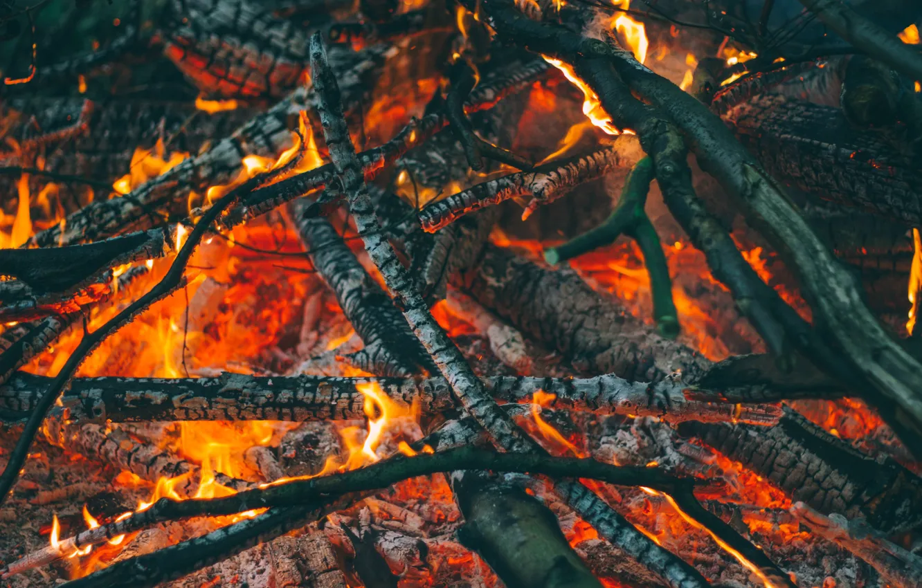 Photo wallpaper fire, Carbon, heat, firewood
