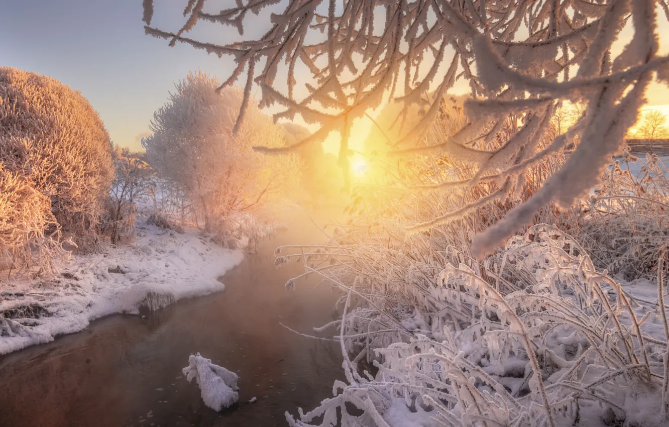 Photo wallpaper river, Tsarskoye Selo, winter's tale, Eduard Gordeev