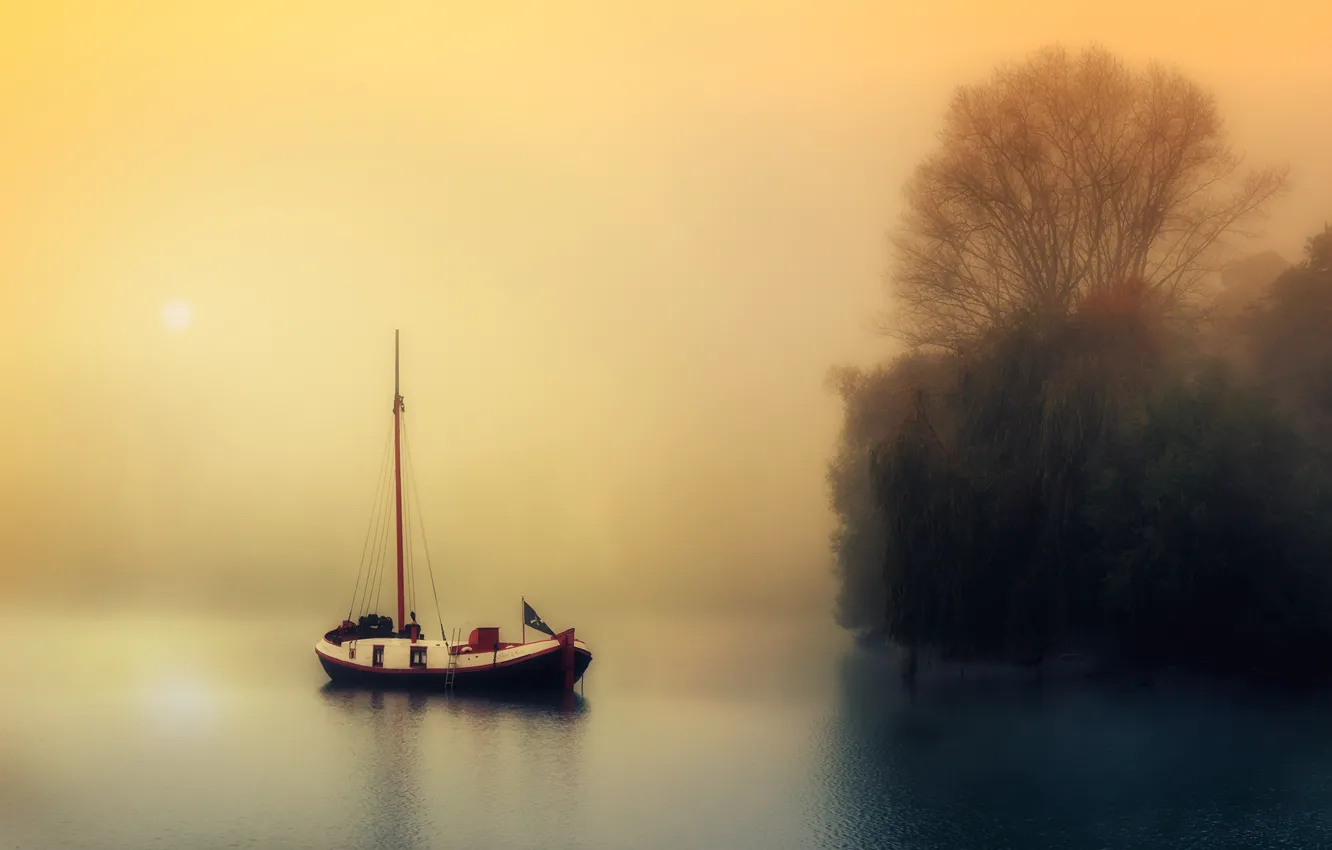 Photo wallpaper trees, fog, river, dawn, boat, morning