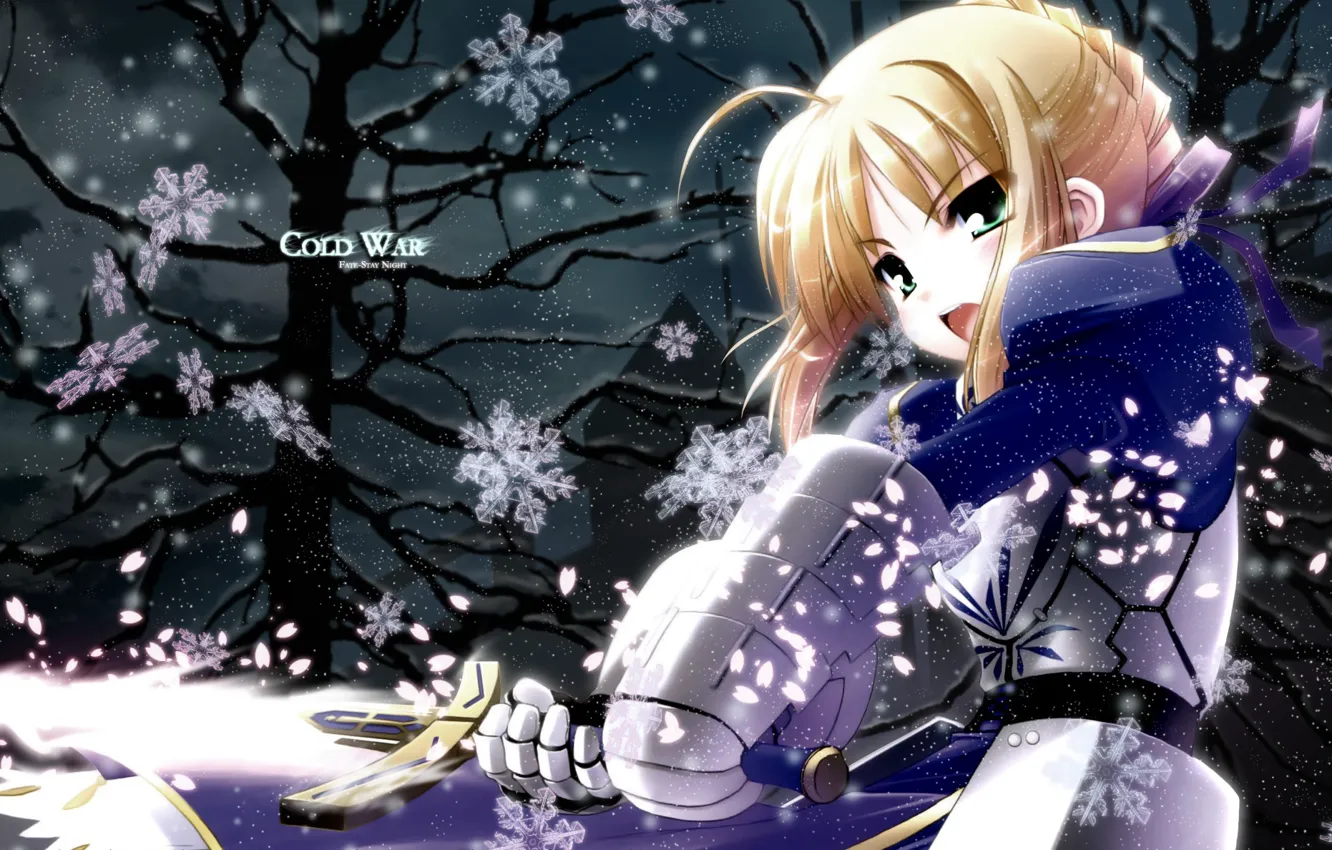 Photo wallpaper look, girl, snowflakes, sword, the saber, Fate stay night, Fate / Stay Night