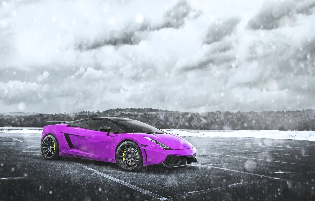 Photo wallpaper Pink, Lamborghini, Gallardo, Purple, Blizzard, Snow, Supercar, Chrome