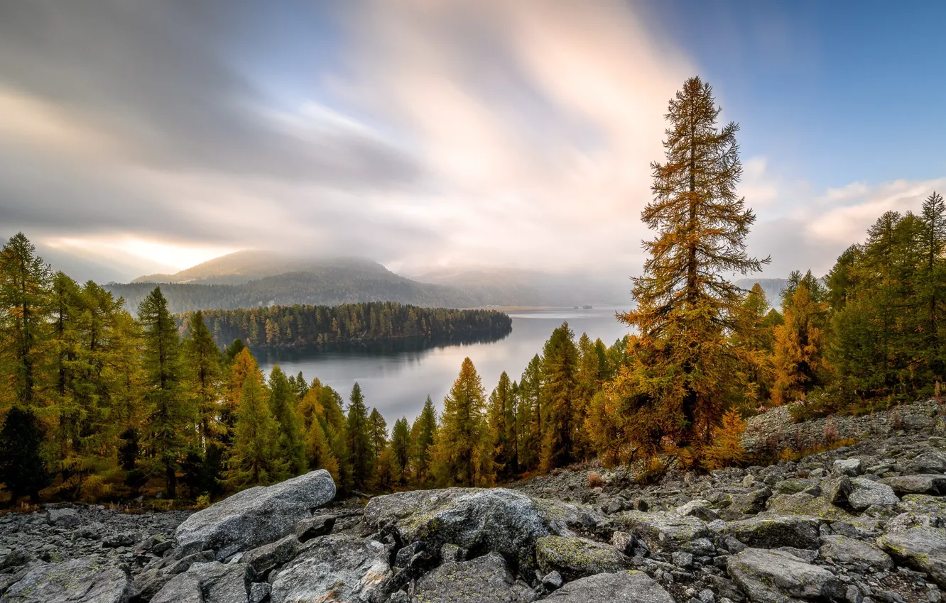 Photo wallpaper autumn, forest, lake