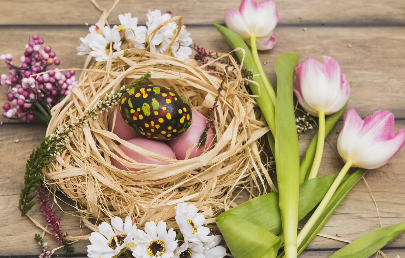 Photo wallpaper Flowers, Tulips, Easter, Eggs, Socket