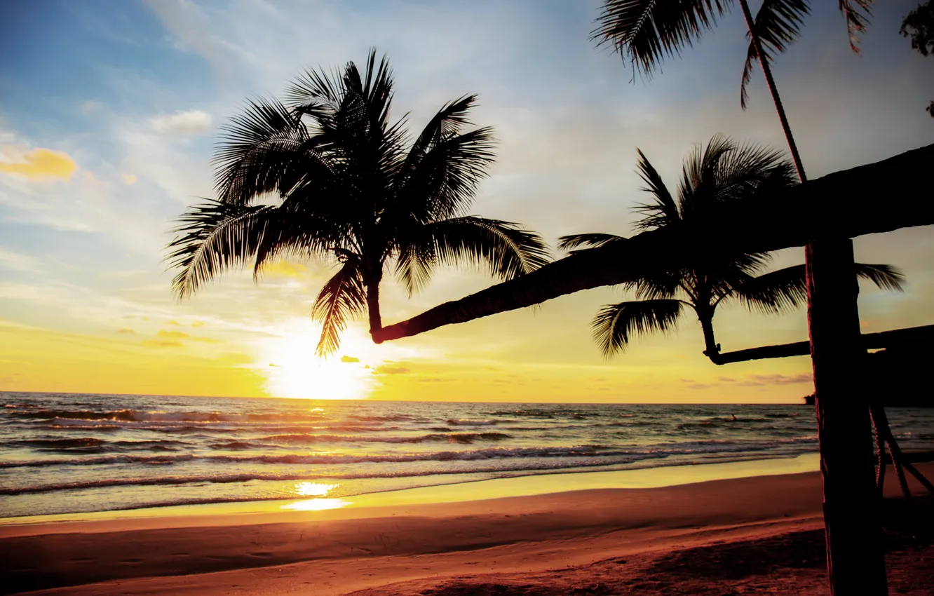 Photo wallpaper sand, sea, beach, summer, the sky, sunset, palm trees, summer