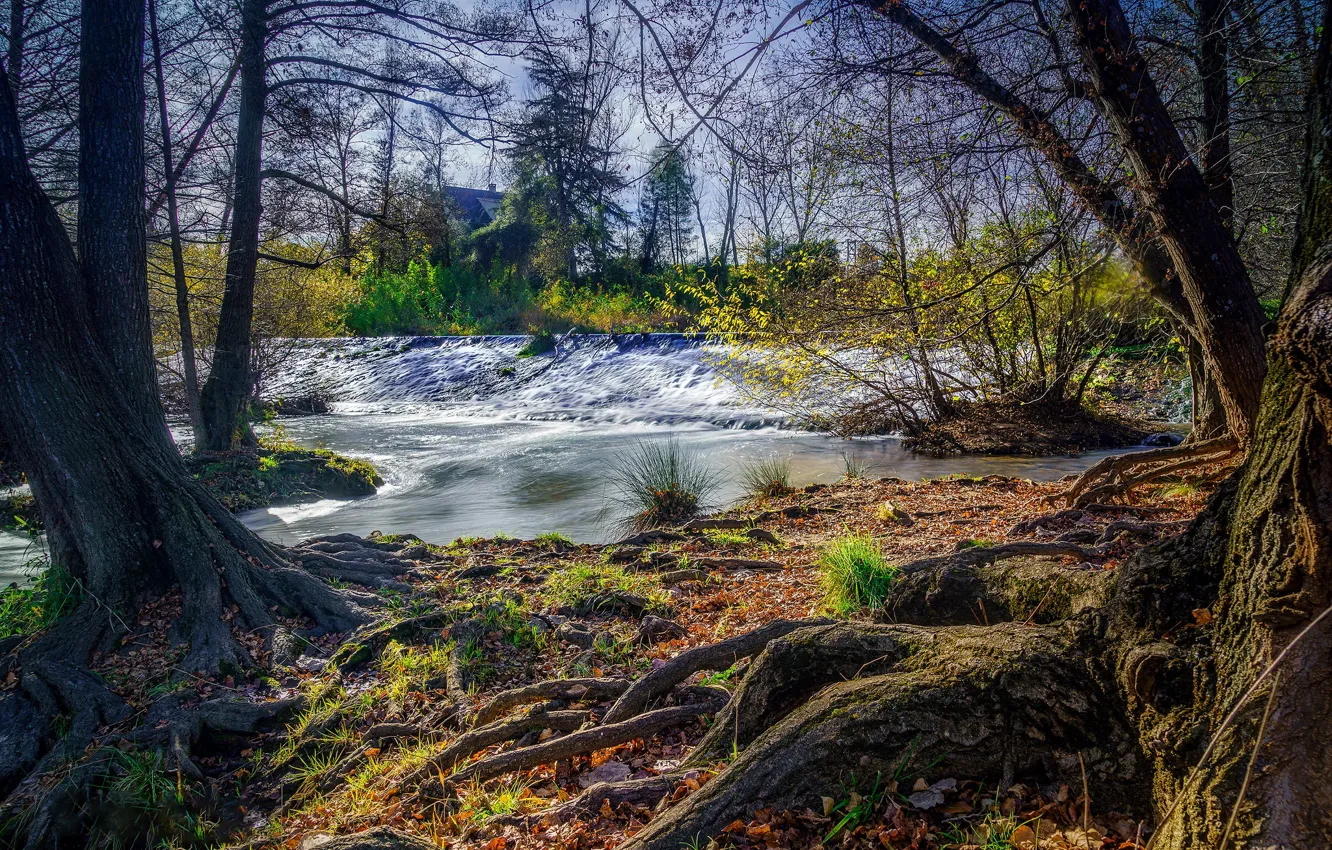 Photo wallpaper autumn, trees, river, stream