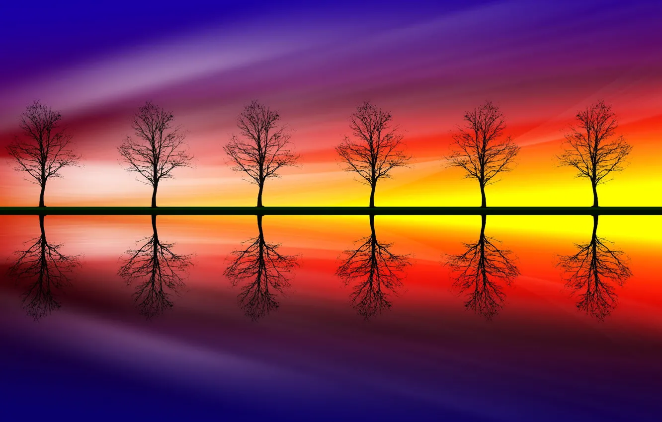 Photo wallpaper color, trees, reflection, Trees
