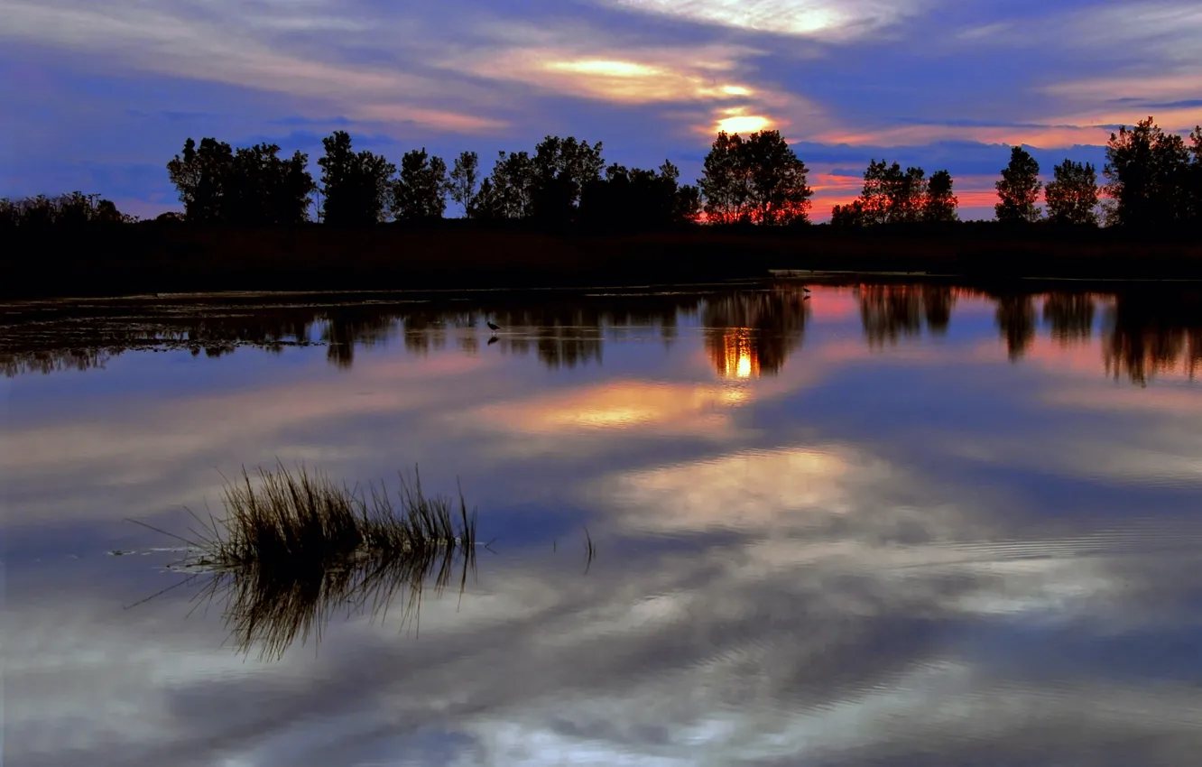 Photo wallpaper the sky, trees, sunset, red, bright, clouds, surface, reflection