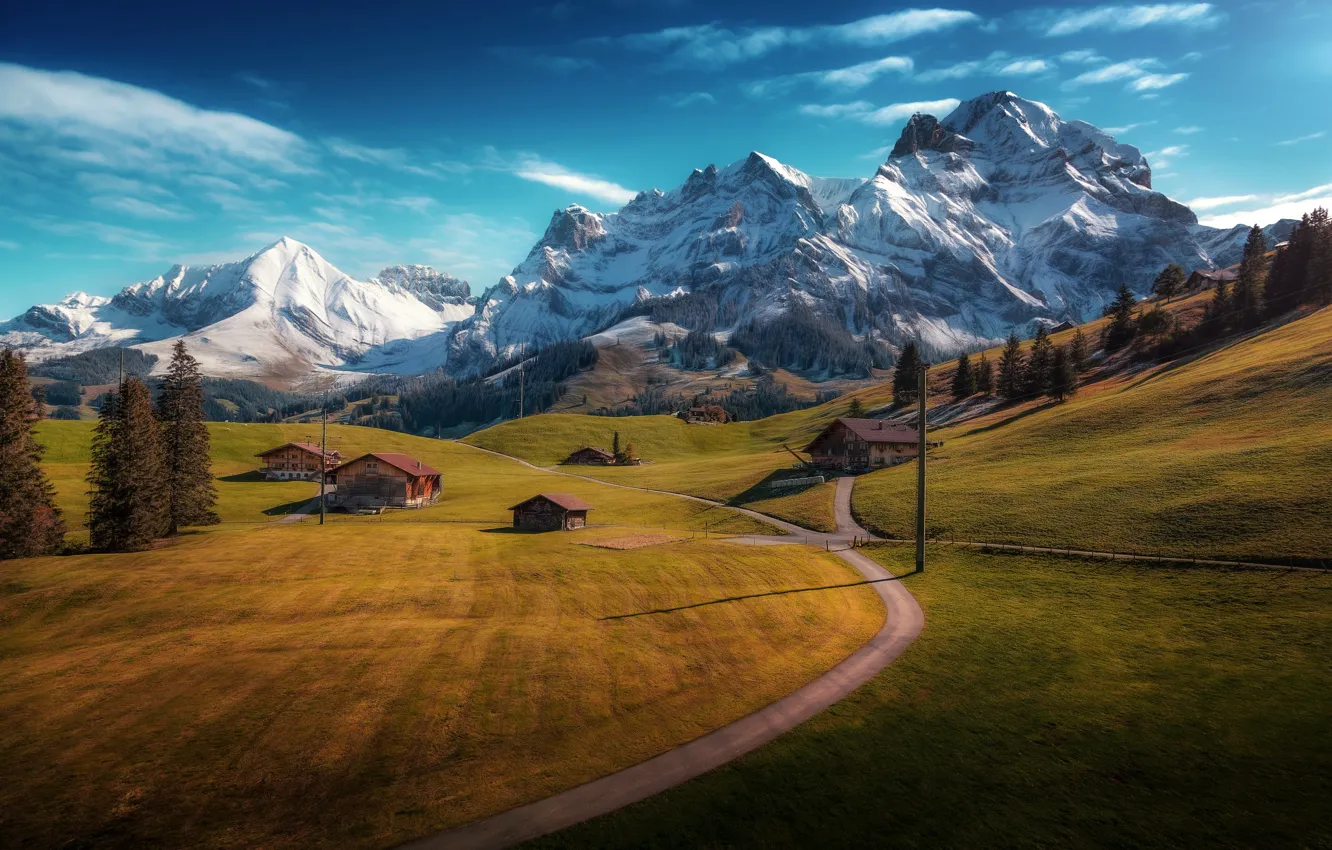 Photo wallpaper road, trees, mountains, Switzerland, village, houses, Switzerland, meadows