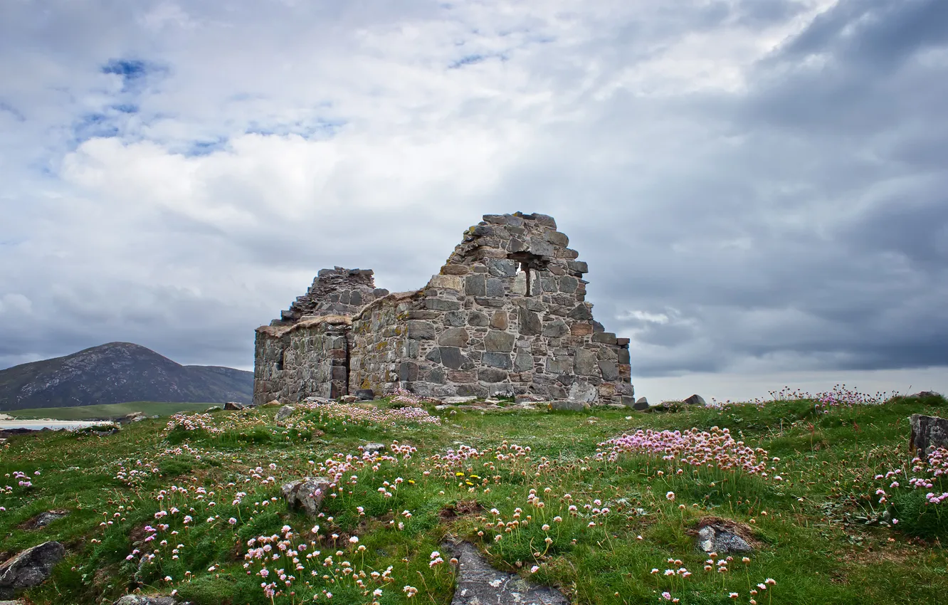 Photo wallpaper grass, house, ruins, abandonment