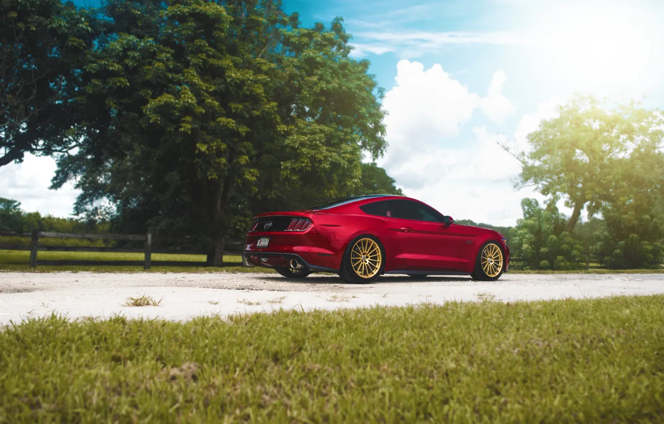 Photo wallpaper Mustang, Ford, Muscle, Light, Red, Car, Sun, Rear