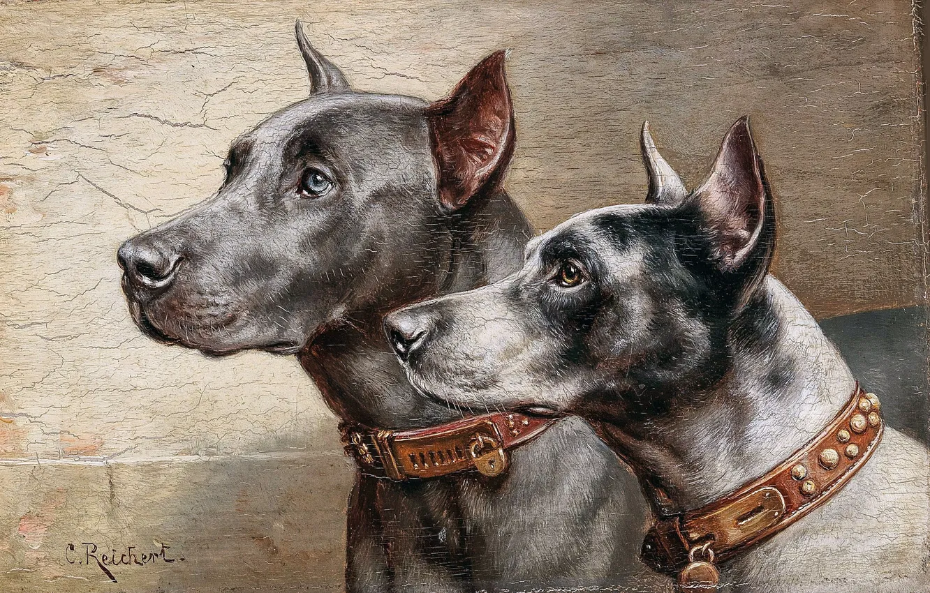 Photo wallpaper Look, Picture, Dogs, Two, Muzzle, Carl Reichert, Carl Reichert, Austrian artist