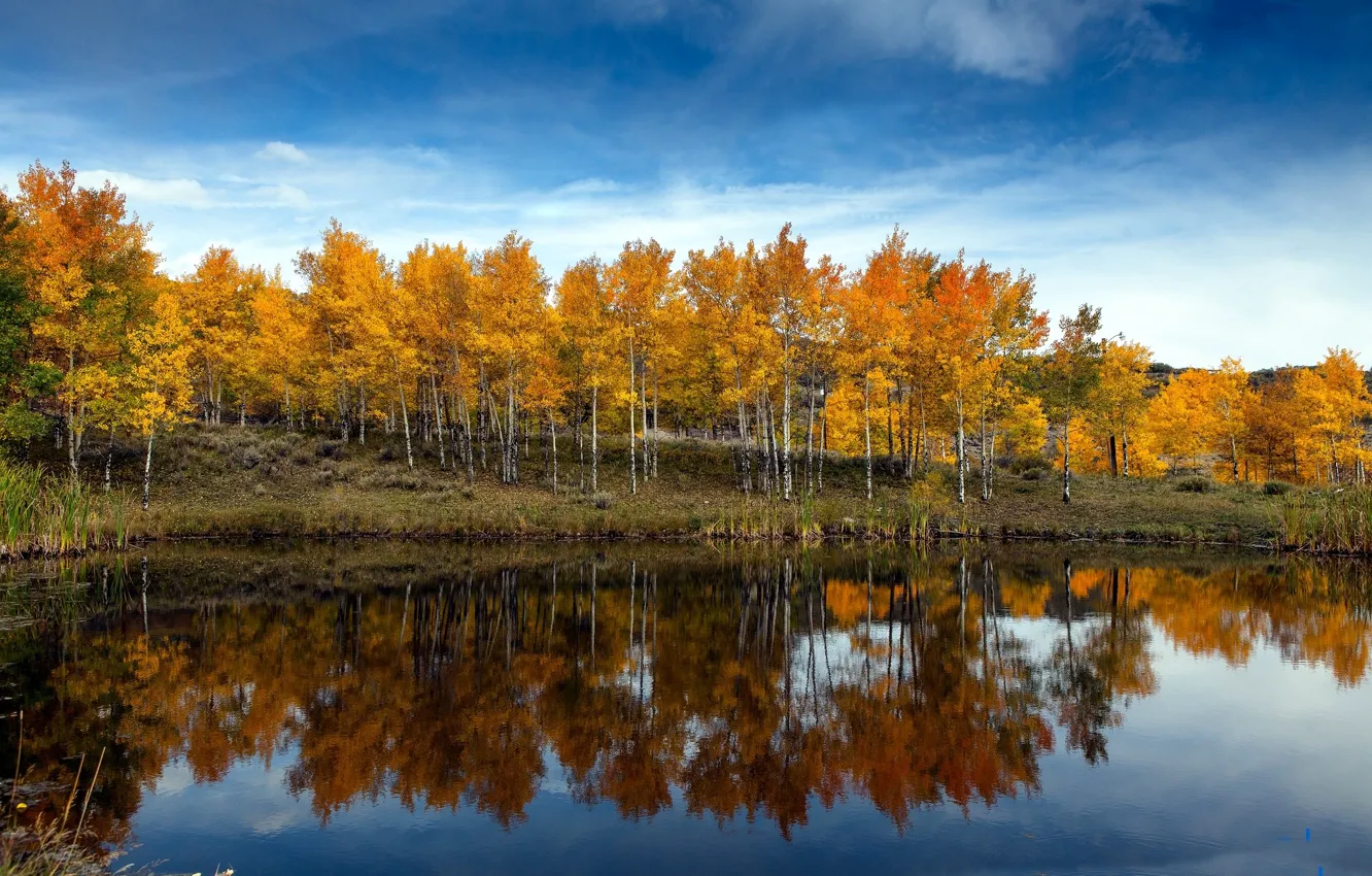 Photo wallpaper autumn, the sky, clouds, trees, lake