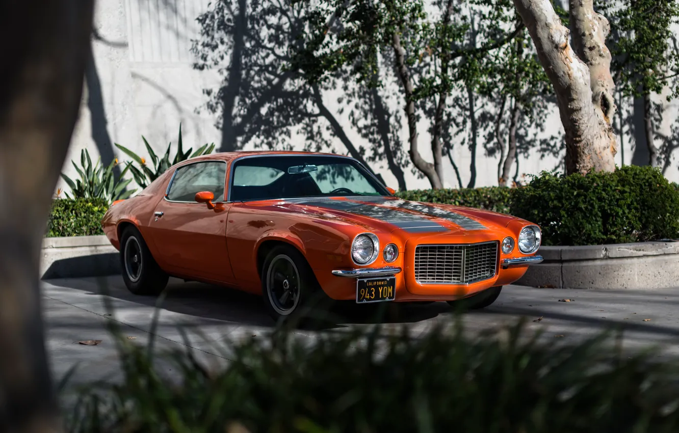 Photo wallpaper Chevrolet, Camaro, 1970, Z28/RS