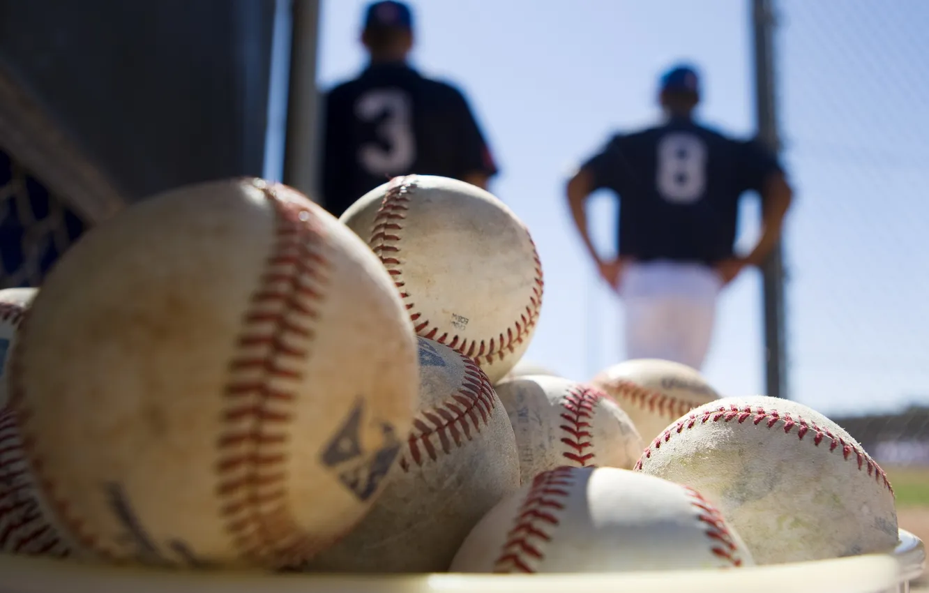 Photo wallpaper sport, the ball, basebal