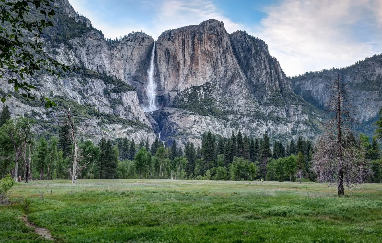 Photo wallpaper trees, landscape, mountains