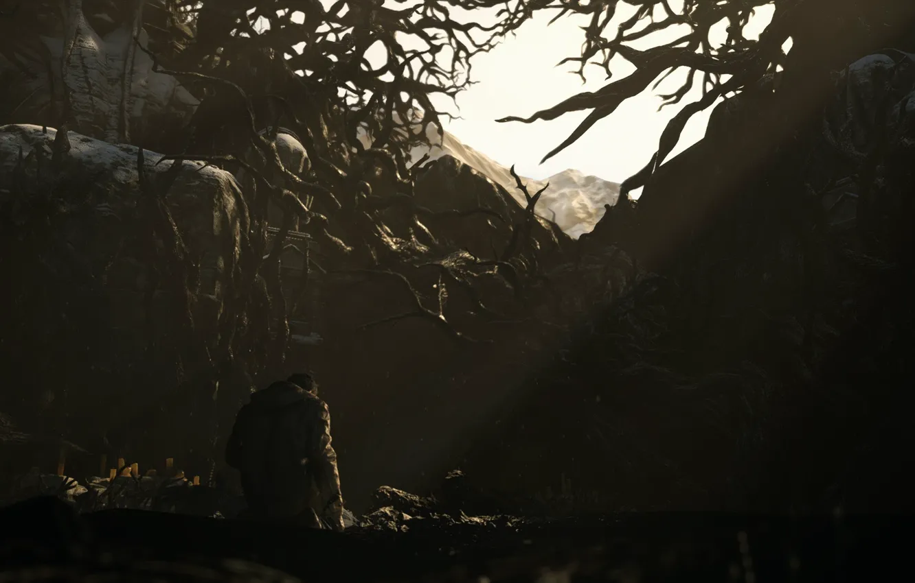 Photo wallpaper dark, Ethan Winters, RE Village