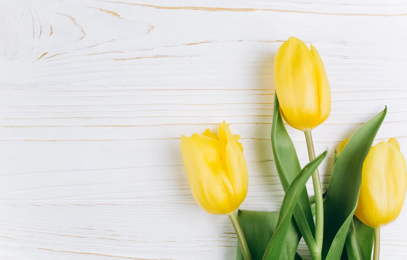 Photo wallpaper flowers, yellow, bouquet, tulips, fresh, yellow, wood, flowers