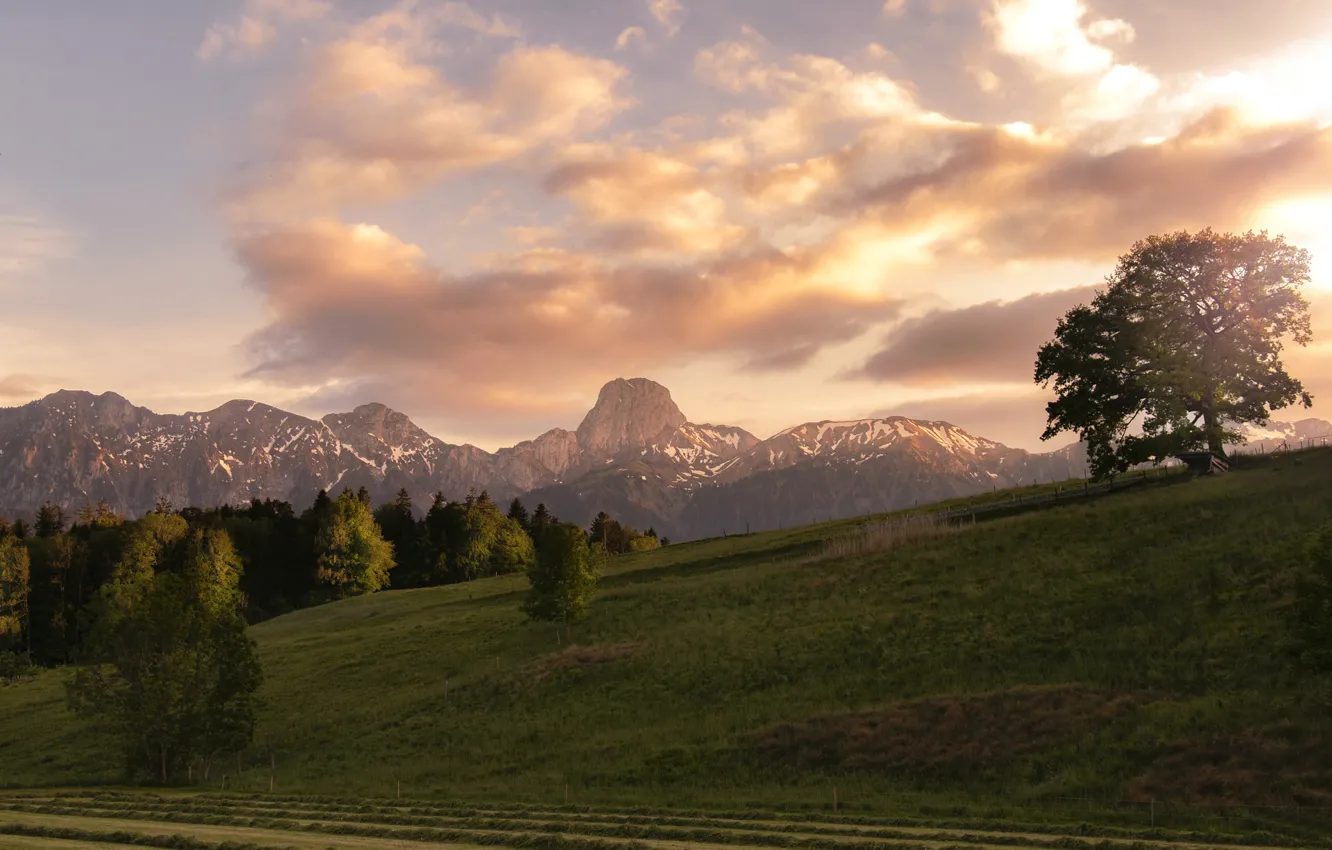 Photo wallpaper mountains, nature, morning