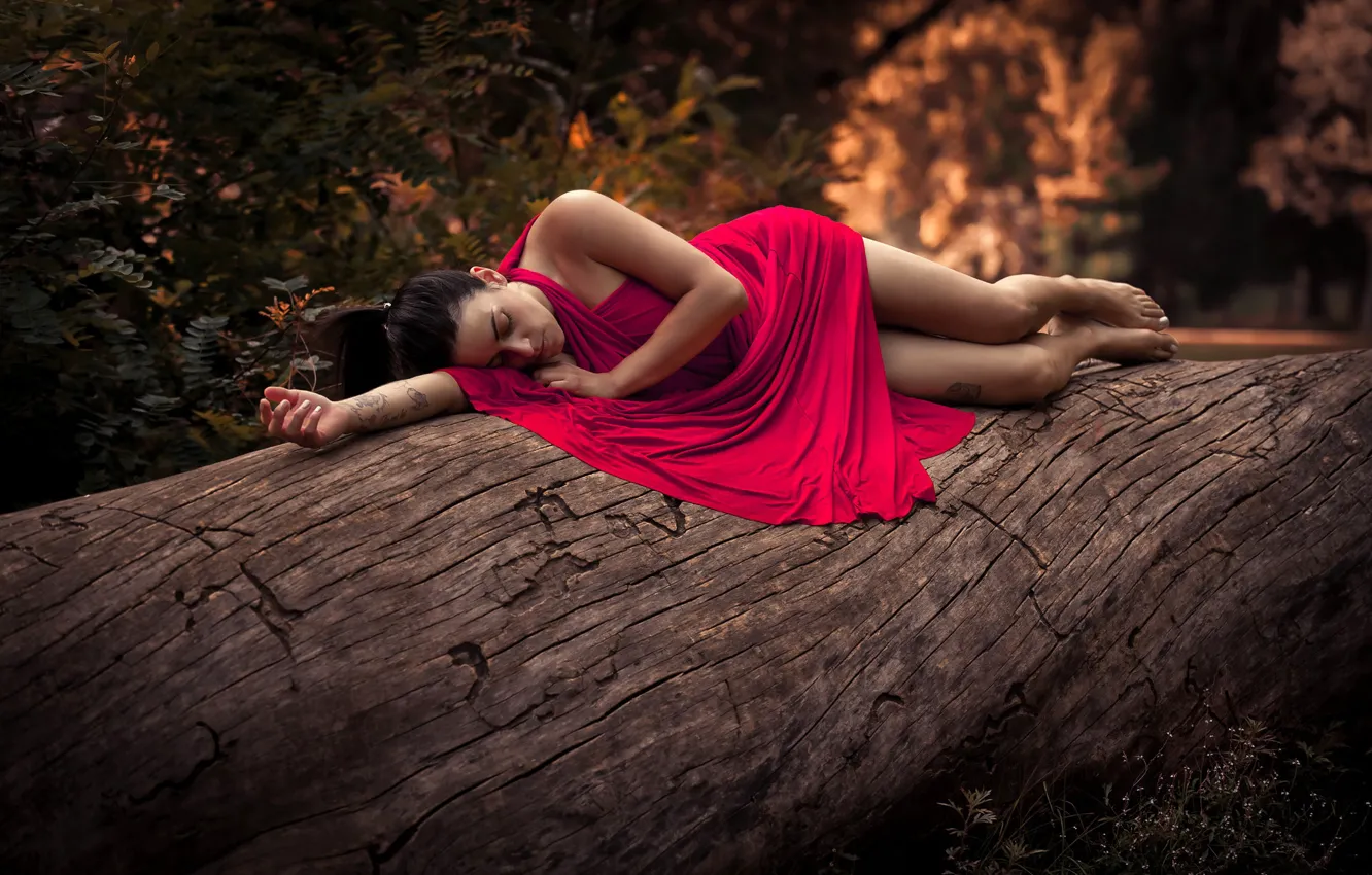 Photo wallpaper trees, pose, model, makeup, figure, dress, brunette, hairstyle