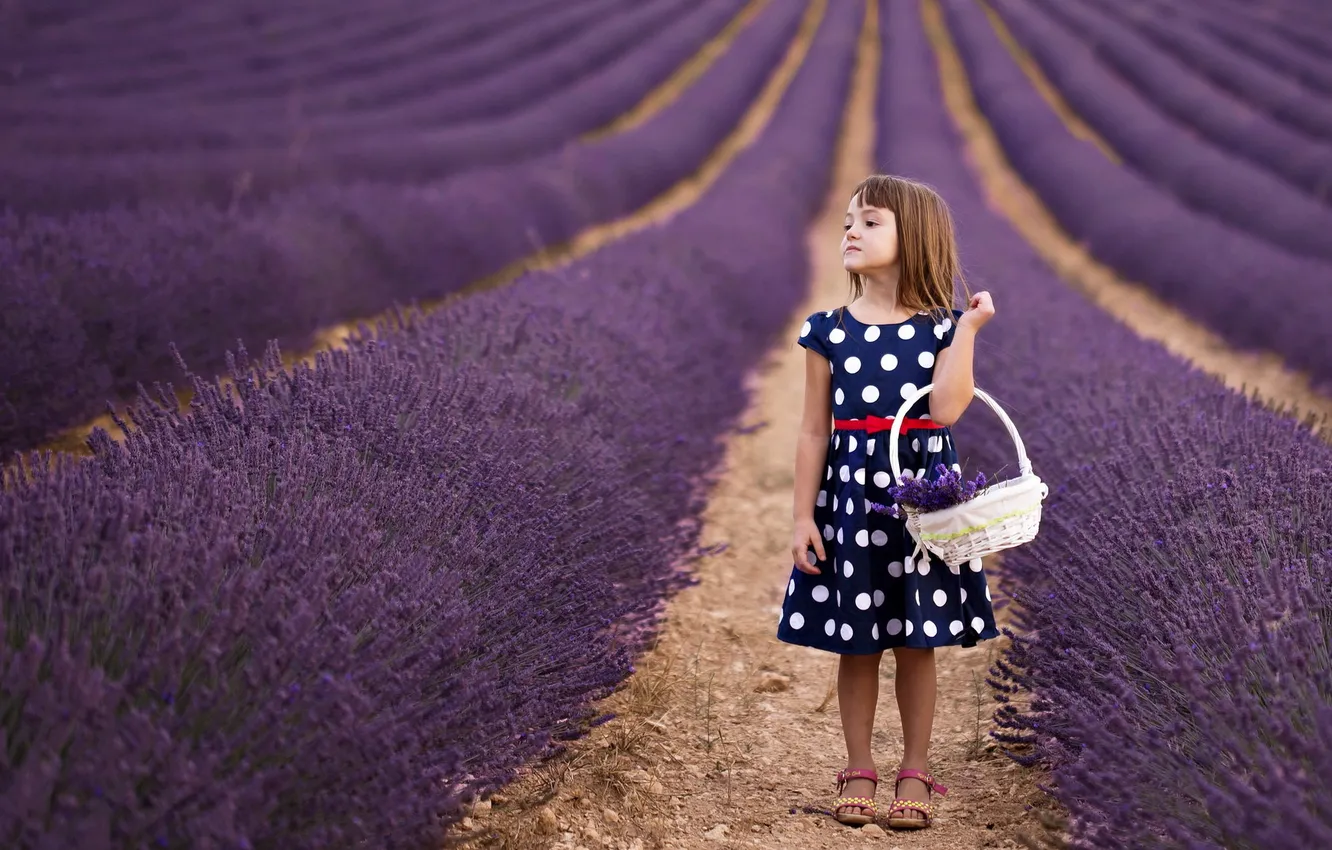 Photo wallpaper field, girl, lavender