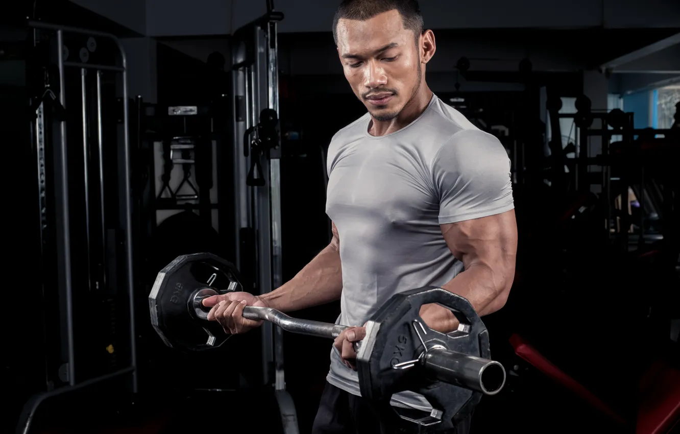 Photo wallpaper gym, training, arms, bodybuilder